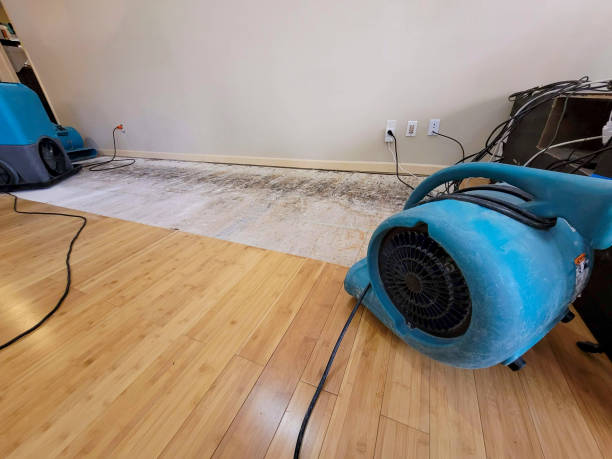Professional Basement Flood Cleanup technician working in Langley, SC